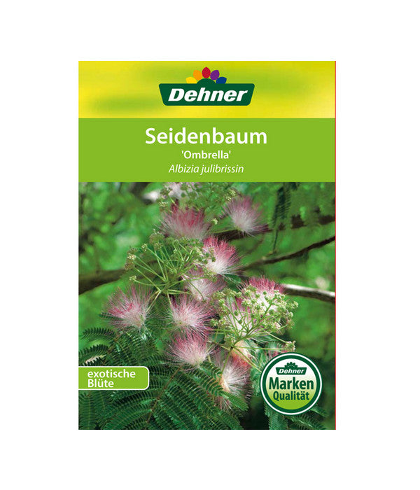  Seidenbaum - Seidenakazie 'Ombrella'
