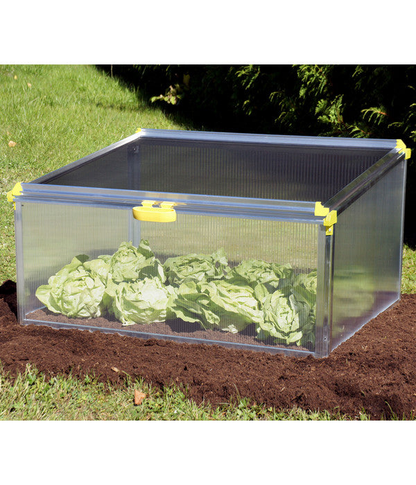  Juwel Frühbeet Biostar Protect 1000, Ca. B100/H52/T76 Cm