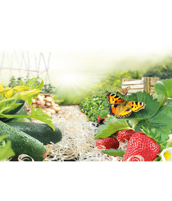  Ziegler Pro Natur® Erdbeer- & Gemüsewolle, 48 X 850 Gramm