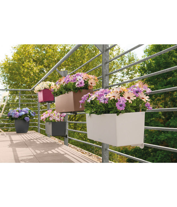  LECHUZA® Kunststoff-Kasten Balconera Color, Rechteckig