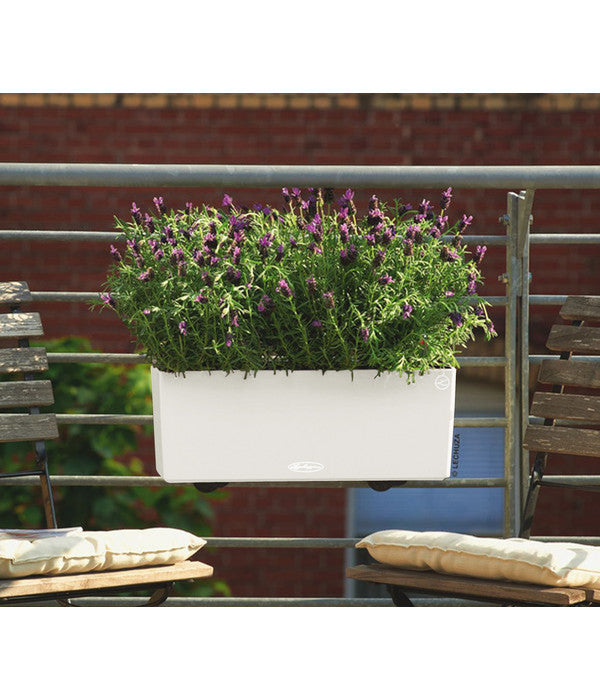  LECHUZA® Kunststoff-Kasten Balconera Color, Rechteckig