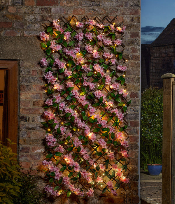  Smart Garden Solar-Spalier Kirsch, Ca. 180 Cm