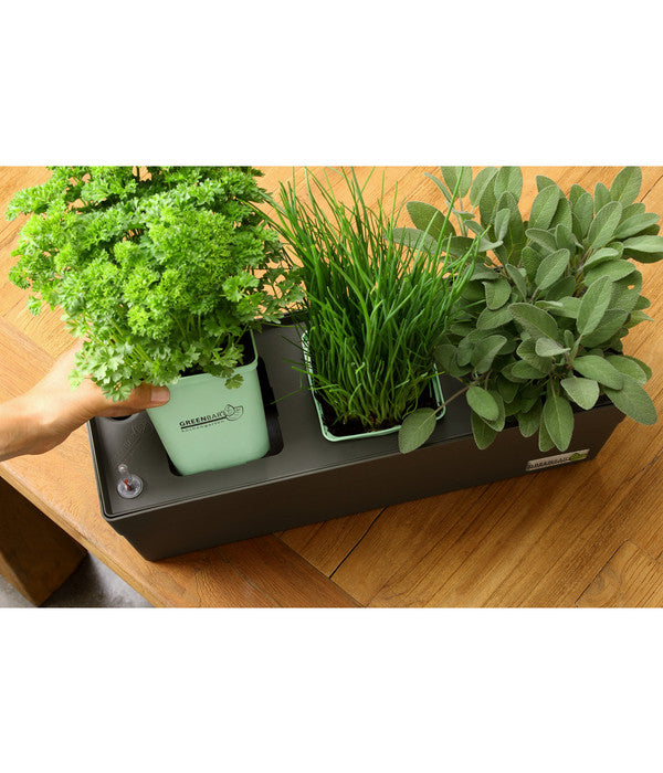  GREENBAR® Ersatzvlies, 3er-Pack