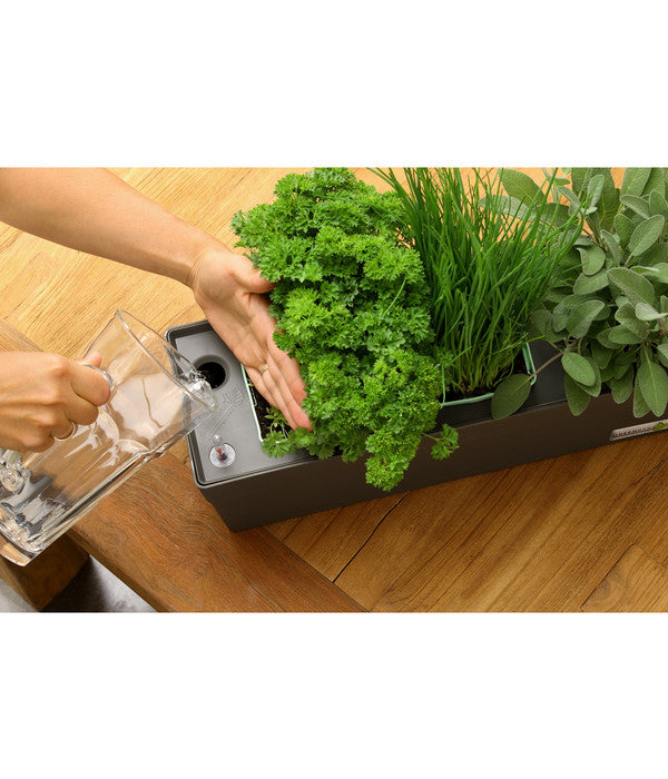  GREENBAR® Ersatzvlies, 3er-Pack
