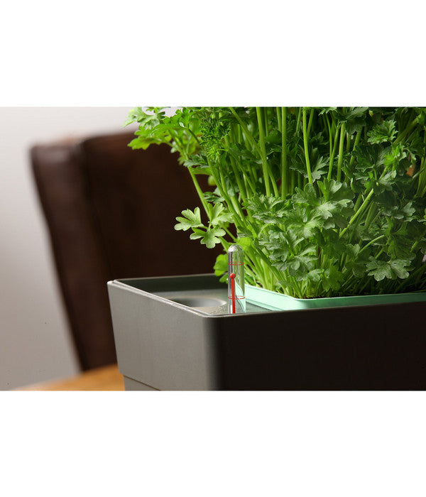  GREENBAR® Kräuterkasten, Ca. B48/H15,5/T16 Cm
