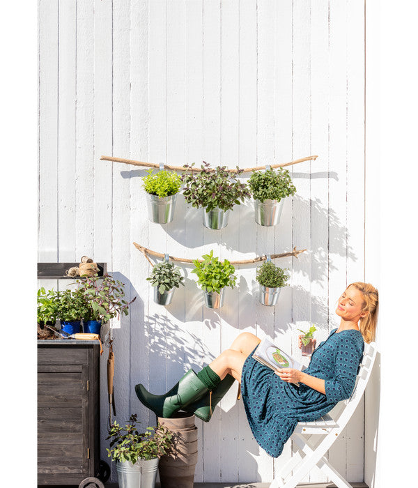  Dehner Gourmet Garten Zitronenmelisse