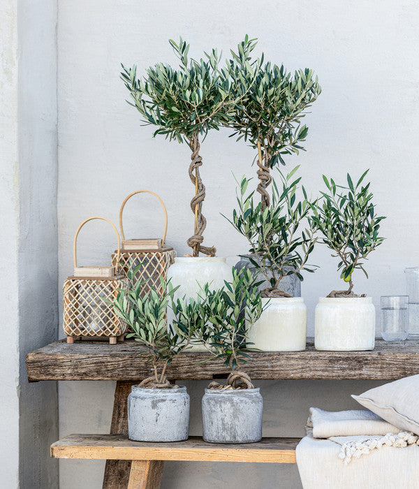 Olive, Busch, In Keramik, Ca. Ø16/H40 Cm