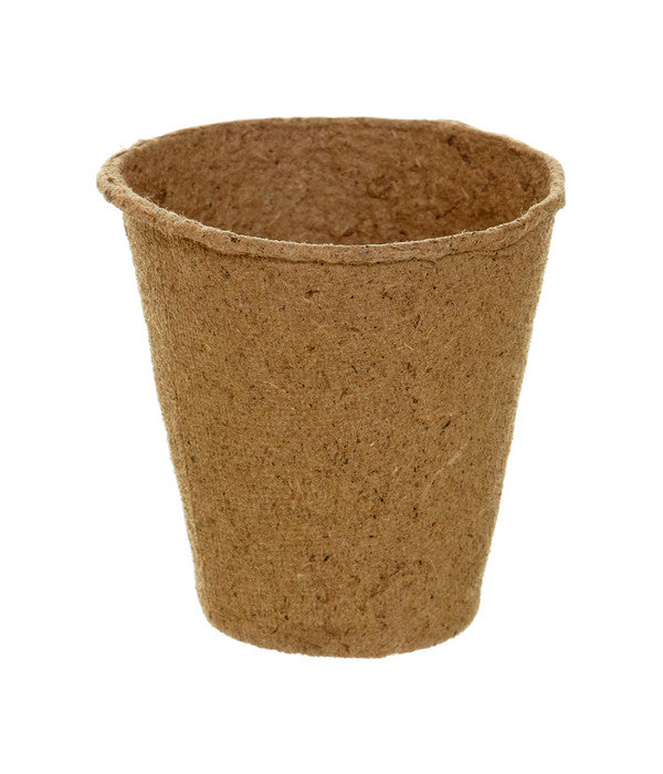  Dehner Anzuchttöpfe Für Pflanzen, 6 Cm