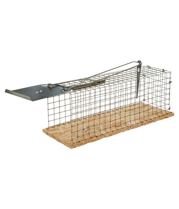  Lebendfalle Für Ratten