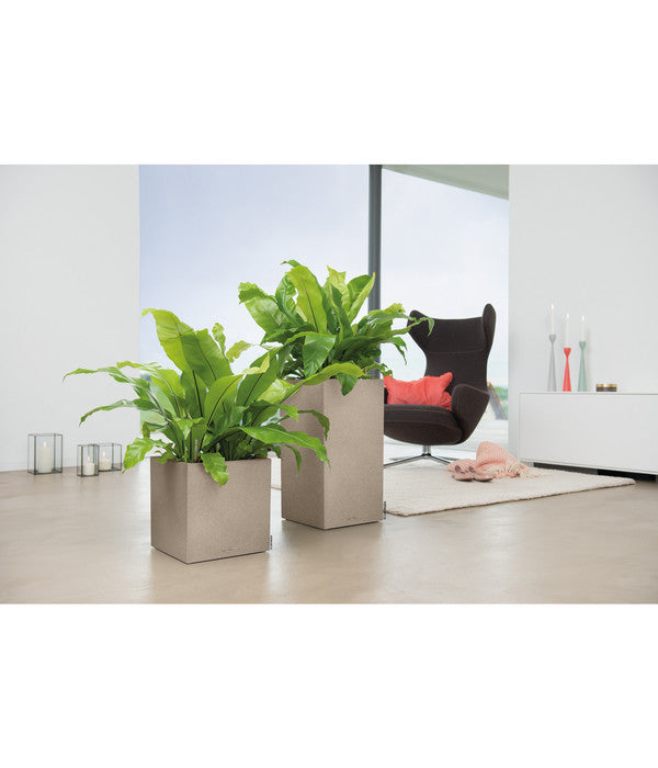  LECHUZA® Kunststoff-Topf Canto Stone, Quadratisch