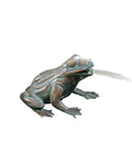  Rottenecker Bronzefigur Frosch