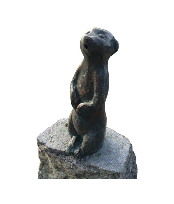  Rottenecker Bronze-Erdmännchen Groß Auf Granit, Wasserspeiend