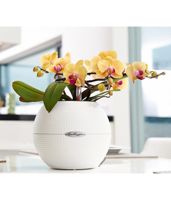  LECHUZA® PURO Color, All-in-One-Set, Rund, Ca. Ø20 Cm