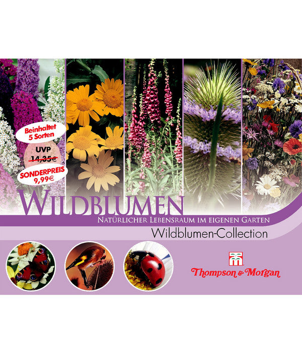  Thompson & Morgan Samen 'Wildblumen-Collection'