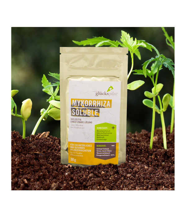  Mykorrhiza Soluble, 30 G
