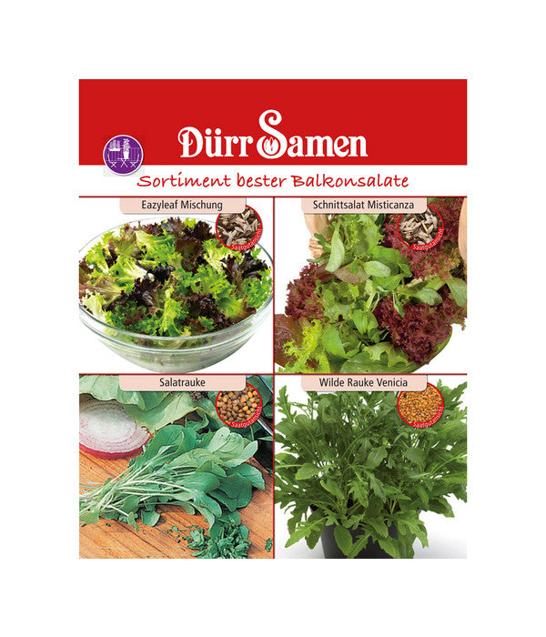  Dürr Samen Sortiment Bester Balkonsalate