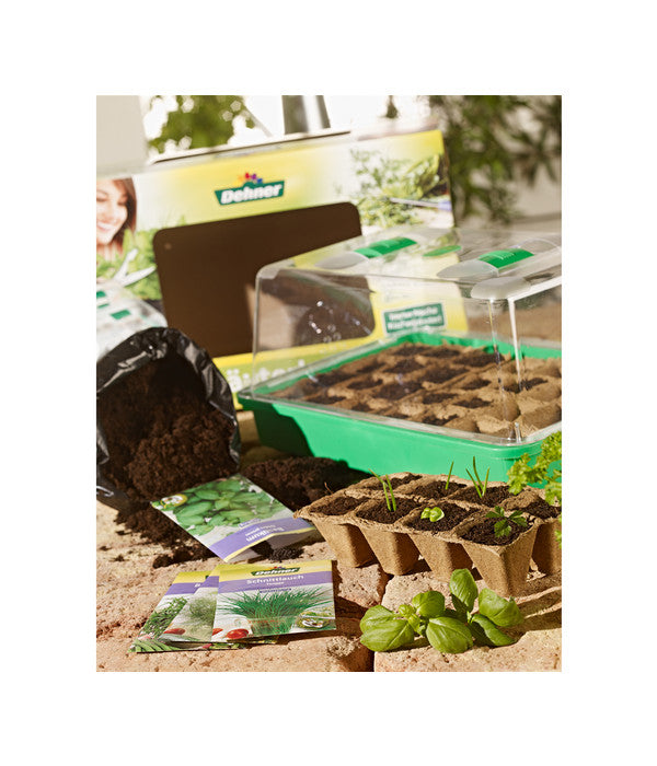  Dehner Kräuterhaus Komplett-Set