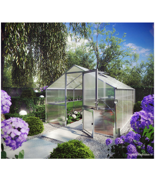  KGT Gewächshaus Orchidee III