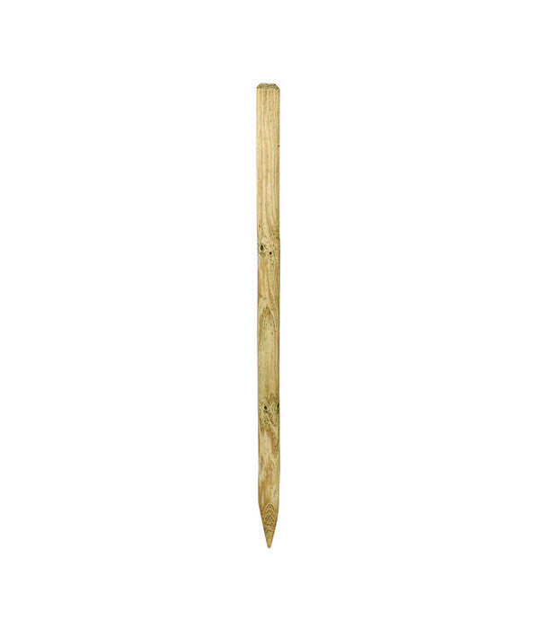  Holz-Baumpfahl