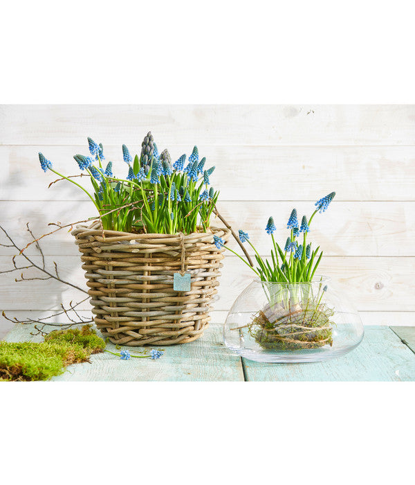  Rattan-Topf, Rund, Grau-braun