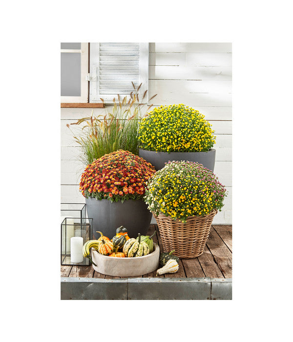  Rattan-Topf, Rund, Grau-braun