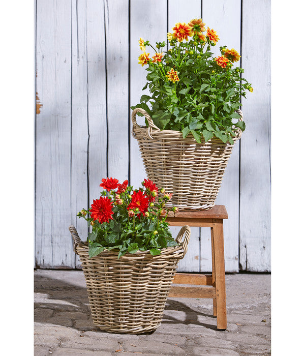  Van Der Leeden Rattan-Korb Mit Henkeln, Rund, Grau-braun