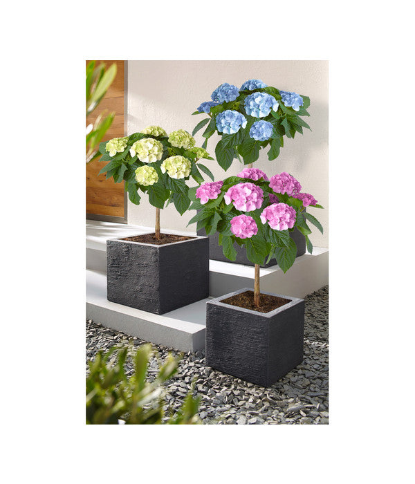  Dehner Kunststoff-Blumenkübel Palermo, Anthrazit