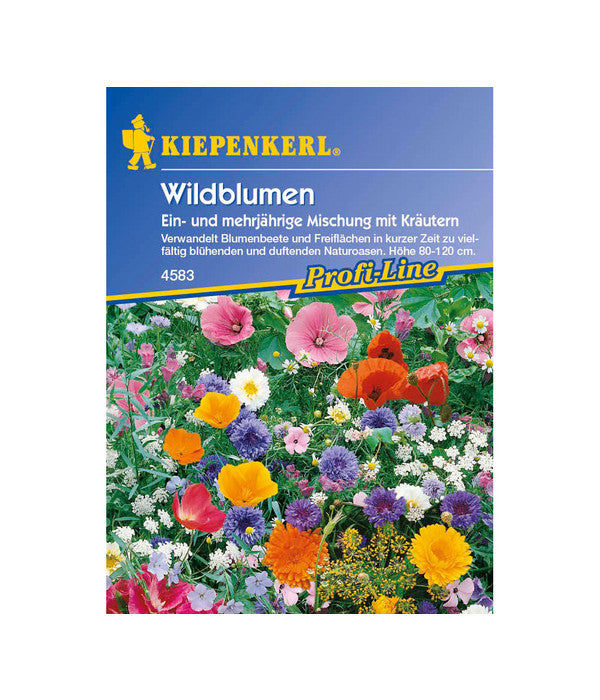  Wildblumen Mit Kräutern Mix, Saatgut Von Kiepenkerl