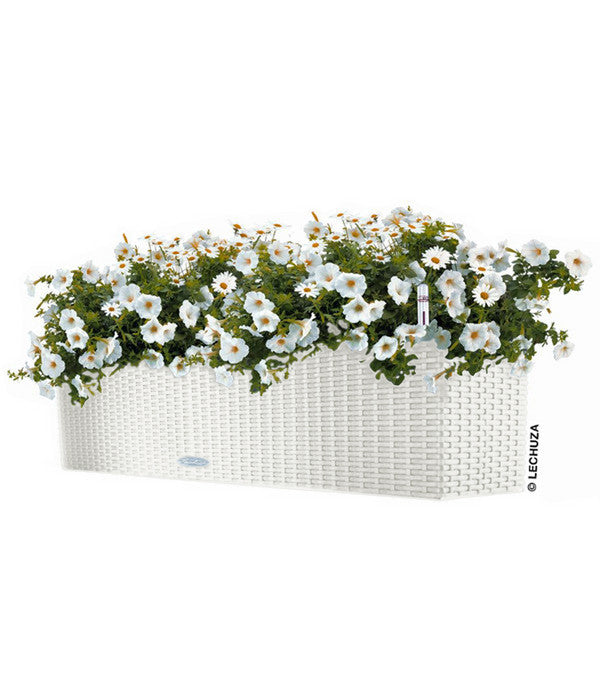  LECHUZA® Kunststoff-Kasten Balconera Cottage, Rechteckig