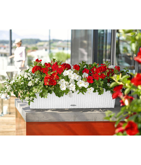  LECHUZA® Kunststoff-Kasten Balconera Cottage, Rechteckig