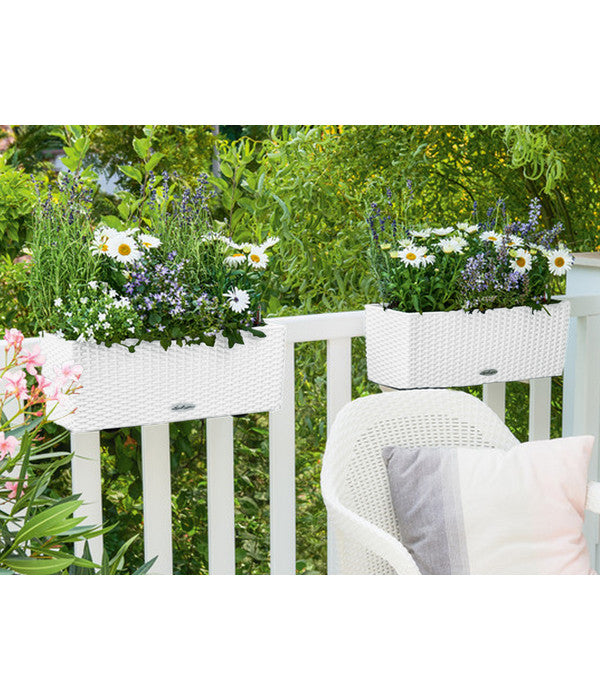  LECHUZA® Kunststoff-Kasten Balconera Cottage, Rechteckig