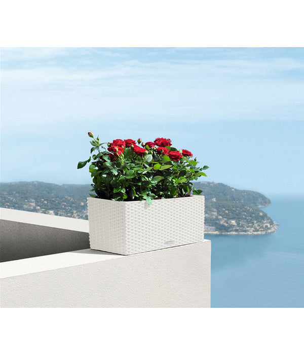  LECHUZA® Kunststoff-Kasten Balconera Cottage, Rechteckig