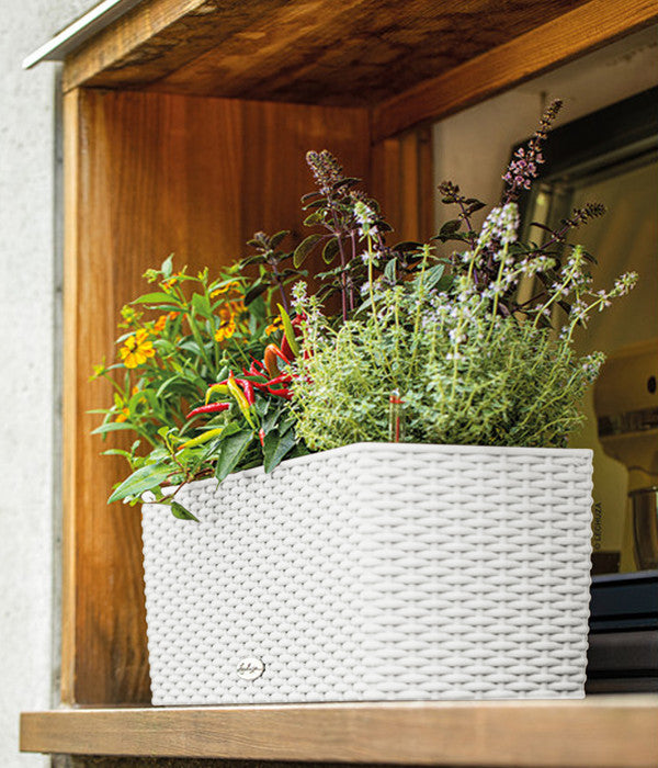  LECHUZA® Kunststoff-Kasten Balconera Cottage, Rechteckig