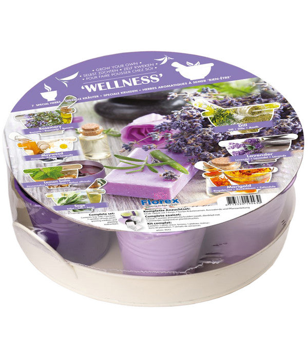  Florex 7-Kräuter Kollektion Wellness