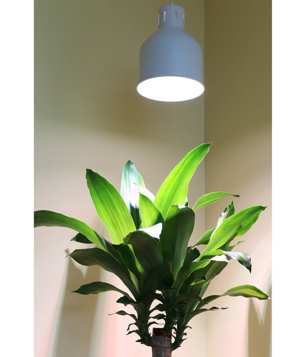  Venso Lampenschirm Saga Für Pflanzenlampe
