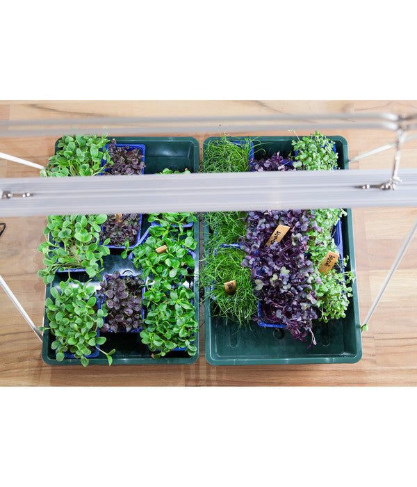  Venso LED-Anzuchtlampe GrowLight Duo