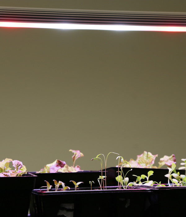  Venso LED-Anzuchtlampe GrowLight Duo