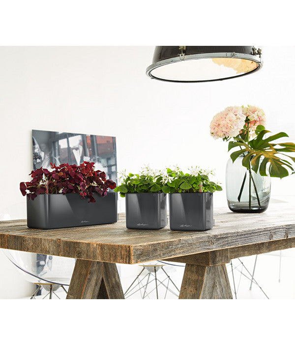  LECHUZA® CUBE Glossy, All-in-One Set