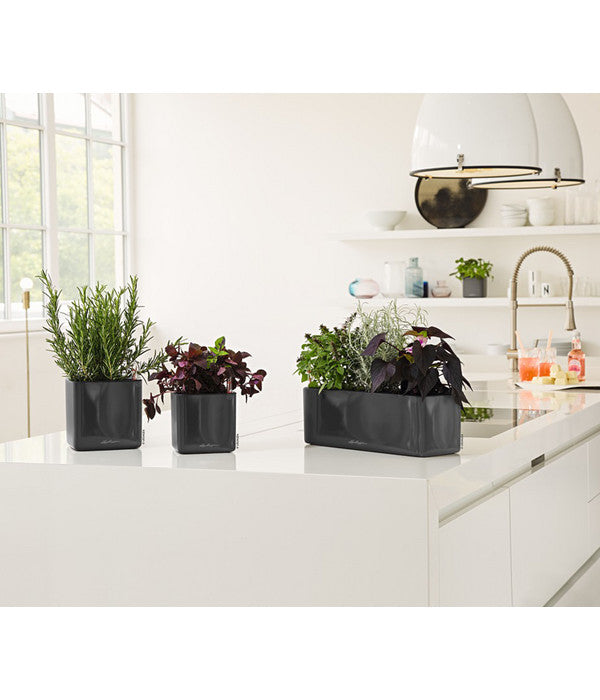  LECHUZA® CUBE Glossy, All-in-One Set
