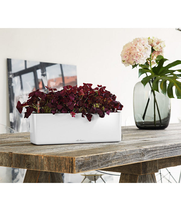  LECHUZA® CUBE Glossy Triple, All-in-One Set, 40 Cm