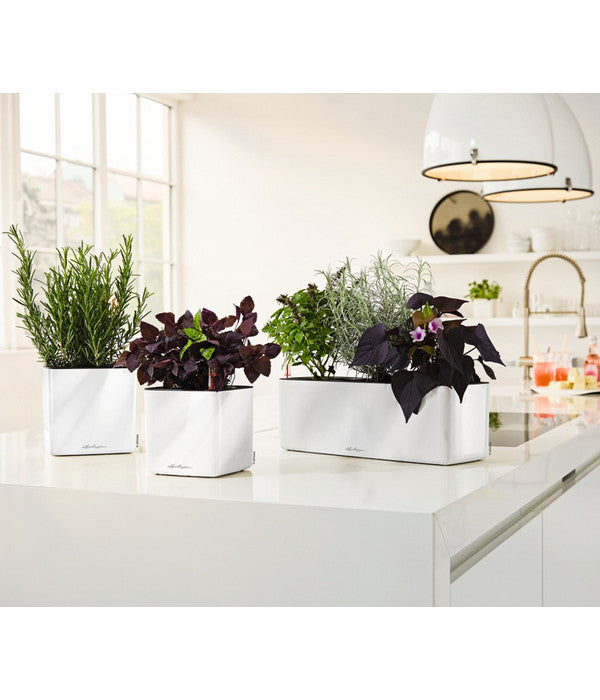  LECHUZA® CUBE Glossy Triple, All-in-One Set, 40 Cm