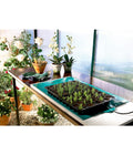  Bio Green Wärmeplatte Für Pflanzen