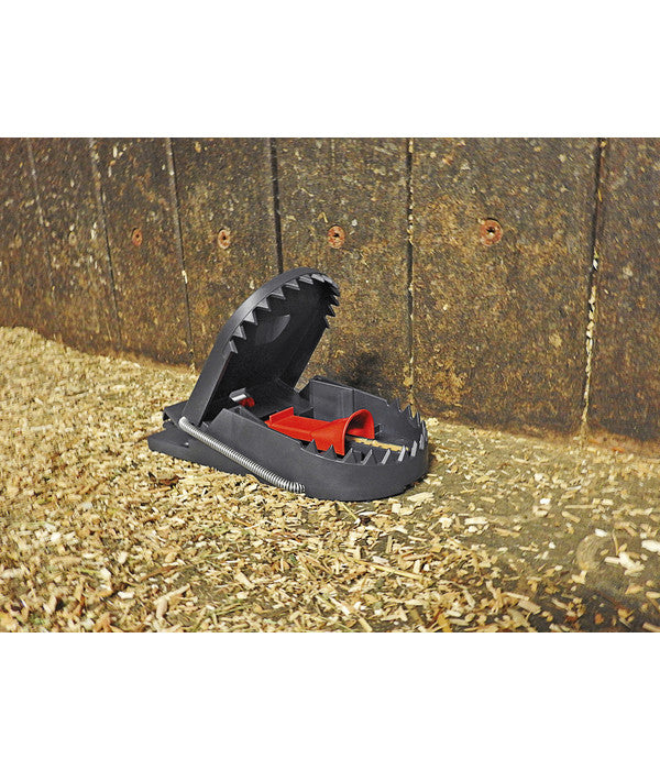 Swissinno Rattenfalle Supercat Pro