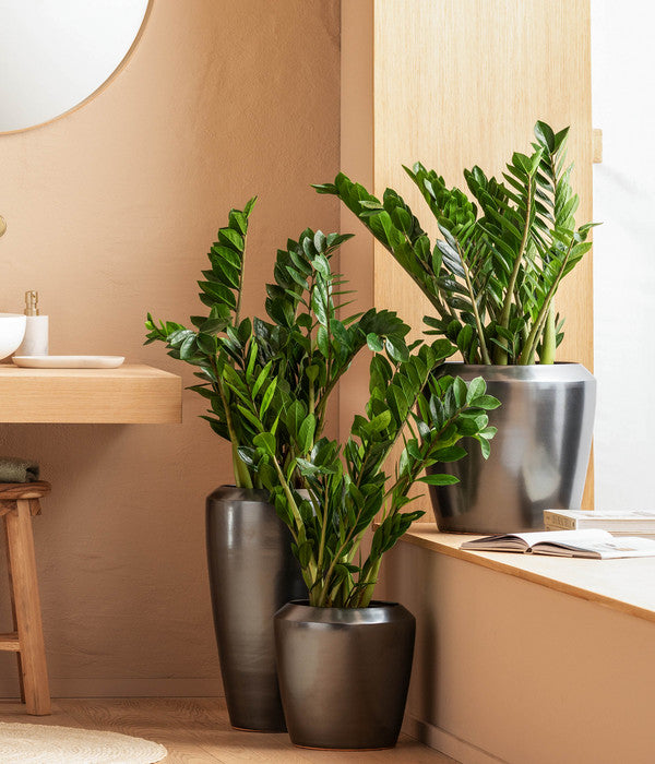  Dehner Keramik-Vase Lissabon Mit LECHUZA® Bewässerungssystem, Konisch