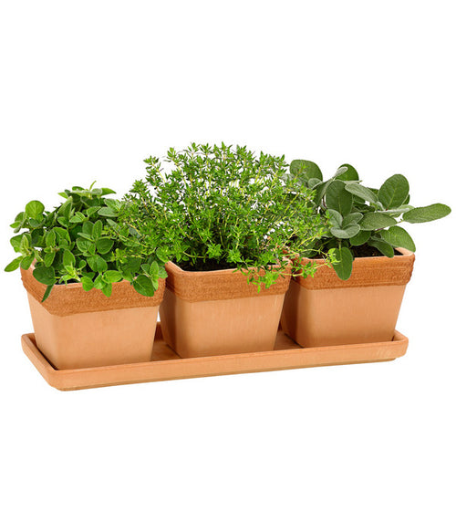  Degrea Terrakotta-Töpfchen Mit Untersetzer, Quadratisch, 3er-Set