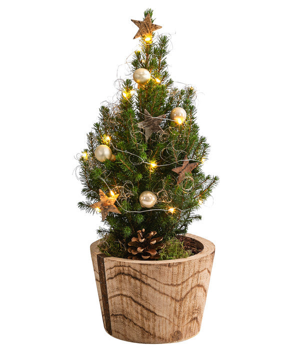  Geschmückter Weihnachtsbaum Loxley, Mit Lichterkette, Ca. H45 Cm