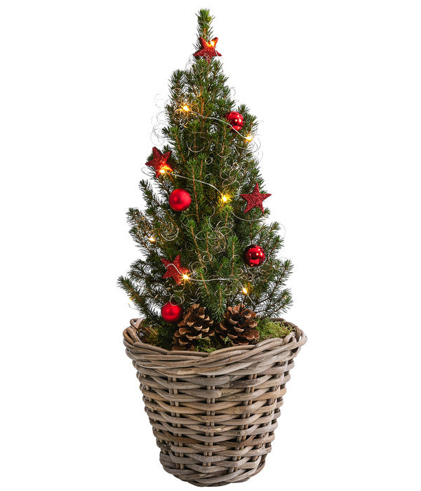  Geschmückter Weihnachtsbaum Kubu, Mit Lichterkette, Ca. H50 Cm