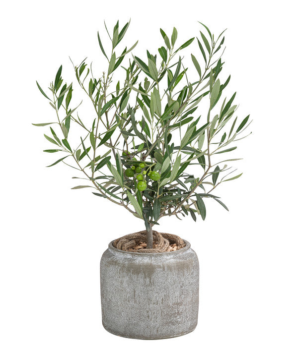  Olive, Busch, In Keramik, Ca. Ø16/H40 Cm