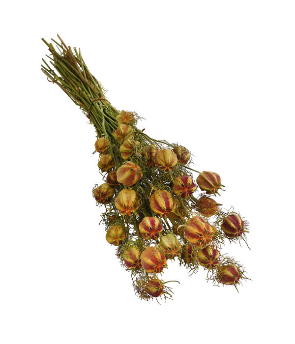  Trockenblumenbund Nigella Mit Fruchtstand
