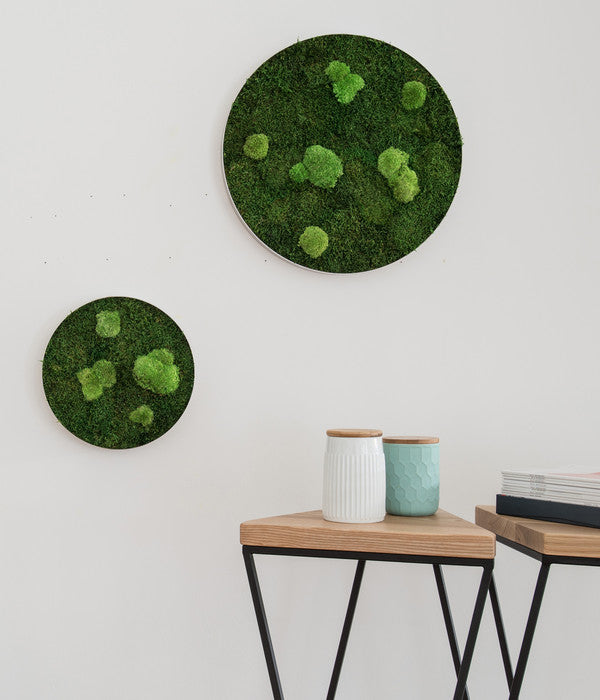  StyleGREEN Bild Aus Wald- Und Kugelmoos, Kreisförmig, Ca. Ø54 Cm